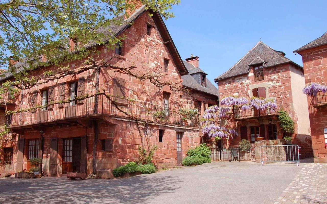 Maison Avec Patio Dans Le Centre Historique Villa Terrasson-Lavilledieu Exterior photo